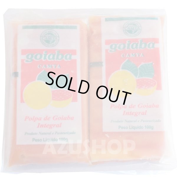 画像1: グアバピューレ 100% 100g×4個 冷凍 フルッタフルッタ 無糖 (1)