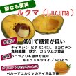 画像2: ルクマパウダー 100% 150g ペルー産 メール便 (2)