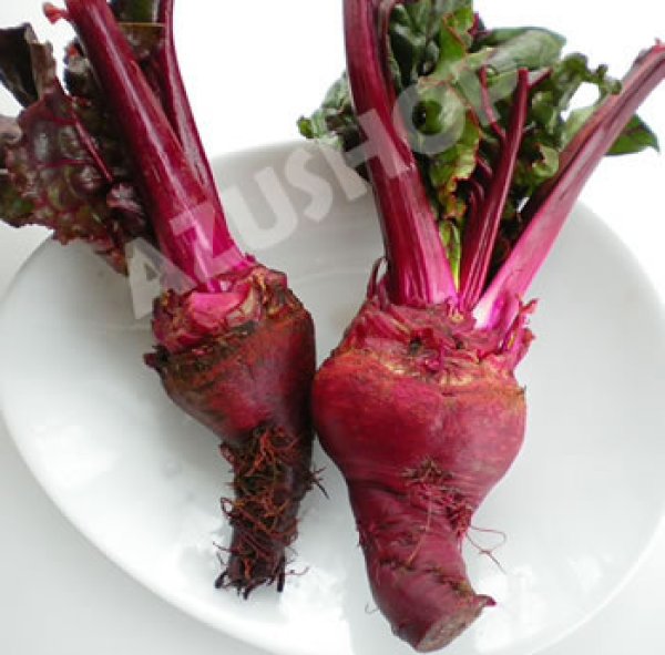 画像4: ビーツ 水煮 スライス 缶詰め 固形量236g 内容総量425g マジックタイム MAGICTIME 賞味期限2027年12月29日 (4)