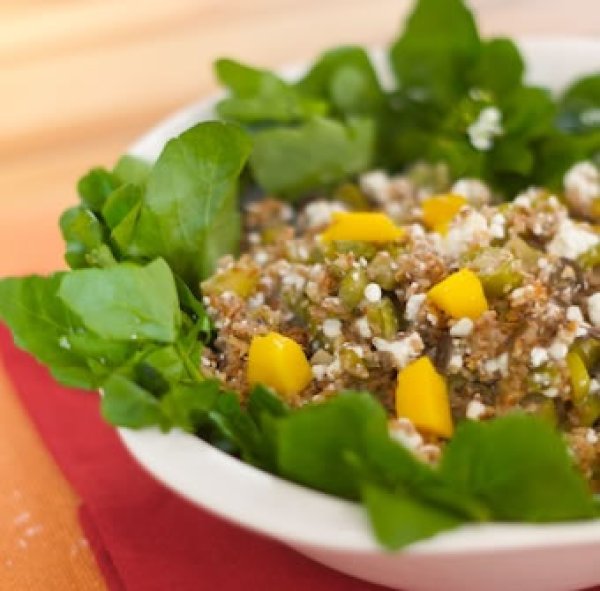 画像3: 小麦ふすま 500g ATLAS ブラン TRIGO PARA KIBE キビ 宅配便用 (3)