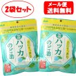 画像1: 2袋セット 送料無料 お口すっきり 和種ハッカ のど飴 ハッカ飴 ノンシュガー 67g メール便 (1)
