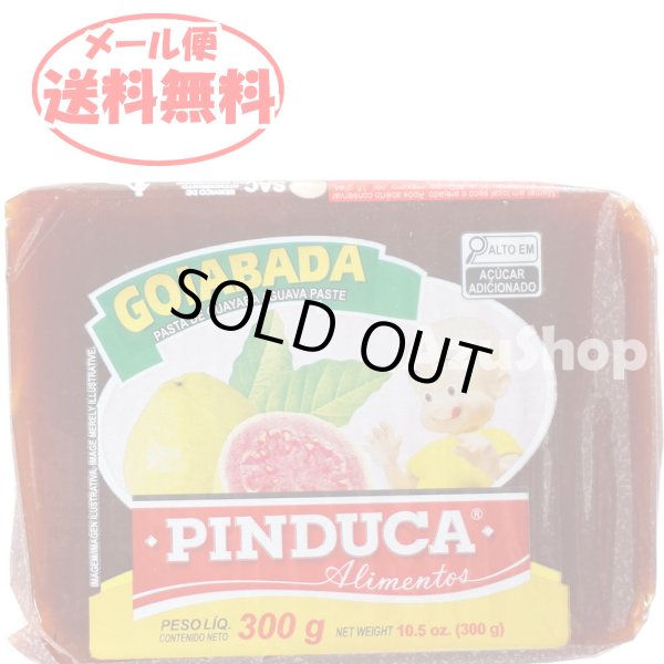 画像1: 送料無料 グアバペースト ゴイアバダ グァバ羊羹 ゴイアバーダ ポリパック入り 300g GOIABADA メール便 (1)